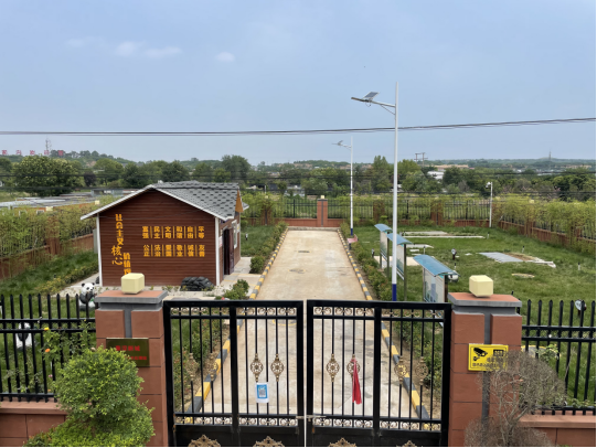 1731381068247690.jpg 1731381152130.jpg